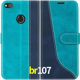 API Integration br107