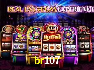 Security Systems br107